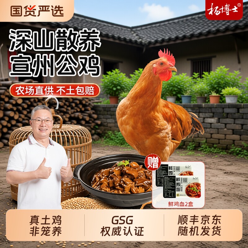 杨博士宣州公鸡深山散养土鸡农家童子鸡皖南新鲜整只红烧生蛋农场