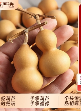 天然小葫芦文玩带龙头手捻把玩件