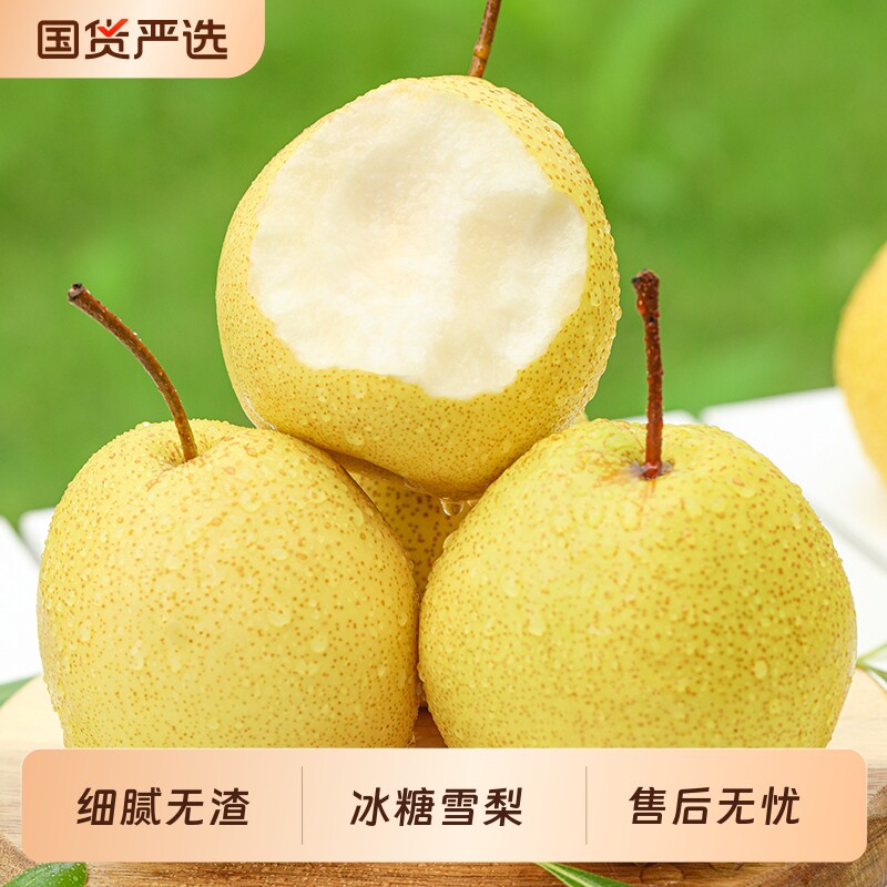 【烤梨专用】正宗冰糖雪梨当季水果梨现摘脆甜黄花梨雪梨整箱包邮
