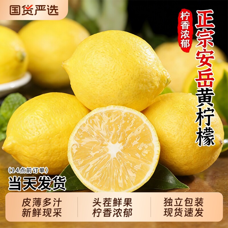 四川安岳黄柠檬新鲜水果皮薄香水甜青柠檬小金桔特产鲜柠檬鲜果