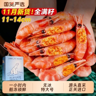 北极虾甜虾冰虾头籽刺身大虾北极熊旗舰店新鲜鲜活海鲜A3原装腹籽