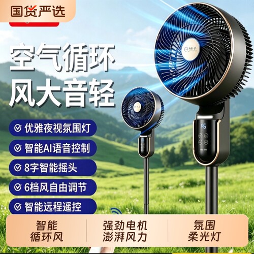 2026新款扬子空气循环扇