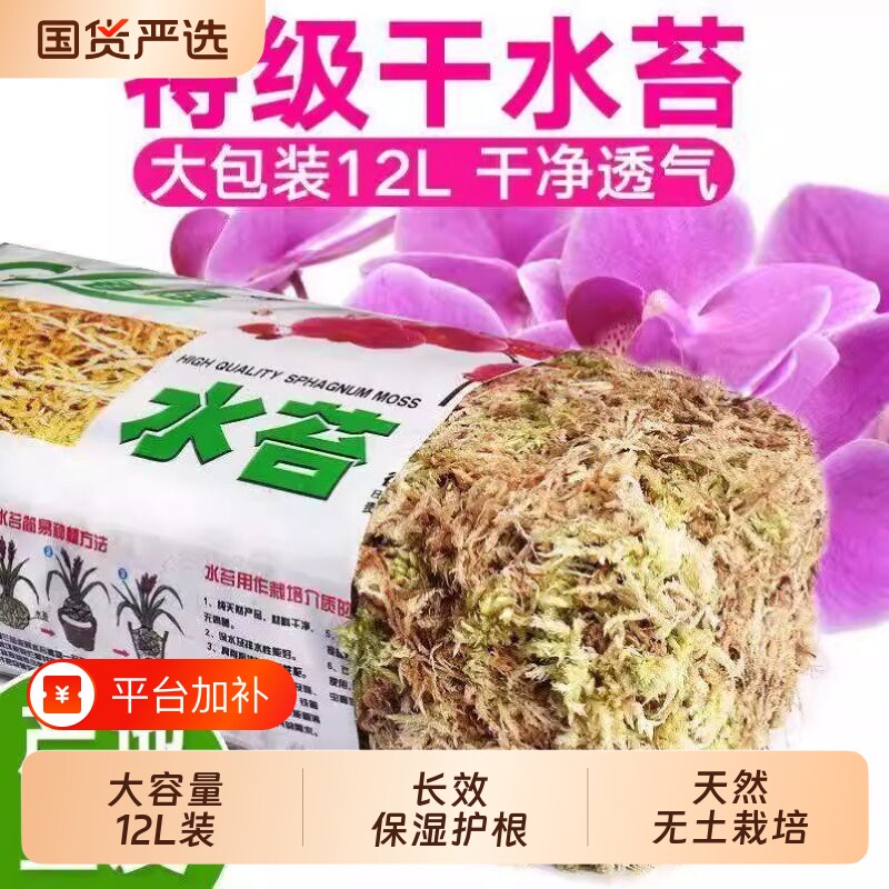 青苔水苔蝴蝶兰专用天然干苔藓兰花石斛兰植料盆栽种植植物花盆