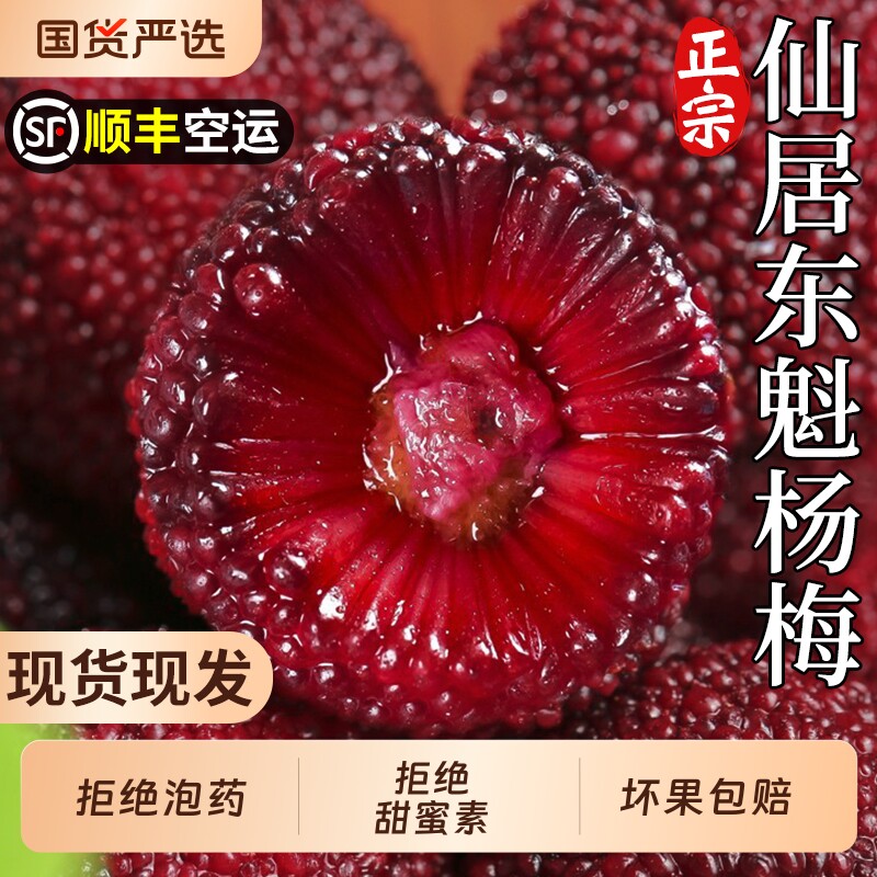 顺丰空运仙居东魁杨梅鲜果现摘现发当季新鲜水果浙江现货整箱包邮