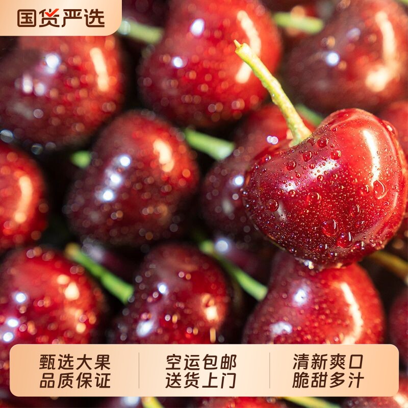 大连美早樱桃车厘子孕妇新鲜水果国产现摘特大3j4j5j大果脆甜空运