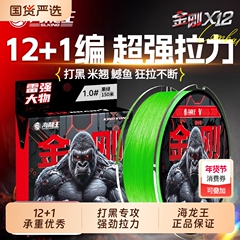 海龙王雷强12编金刚PE线路亚线远投打黑包芯线顺滑专攻黑鱼pe线