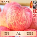 青红富士一整箱 水果丑苹果应季 冰糖心红富士苹果当季 包邮 脆甜