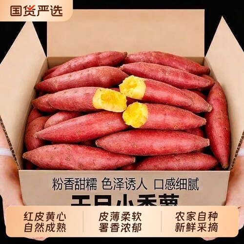 彩箱5斤装天目山小香薯新鲜板栗红薯沙地正宗农家小番薯蜜薯地瓜