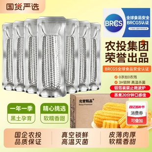 【农投】黄糯玉米240-280g*8根银箔装