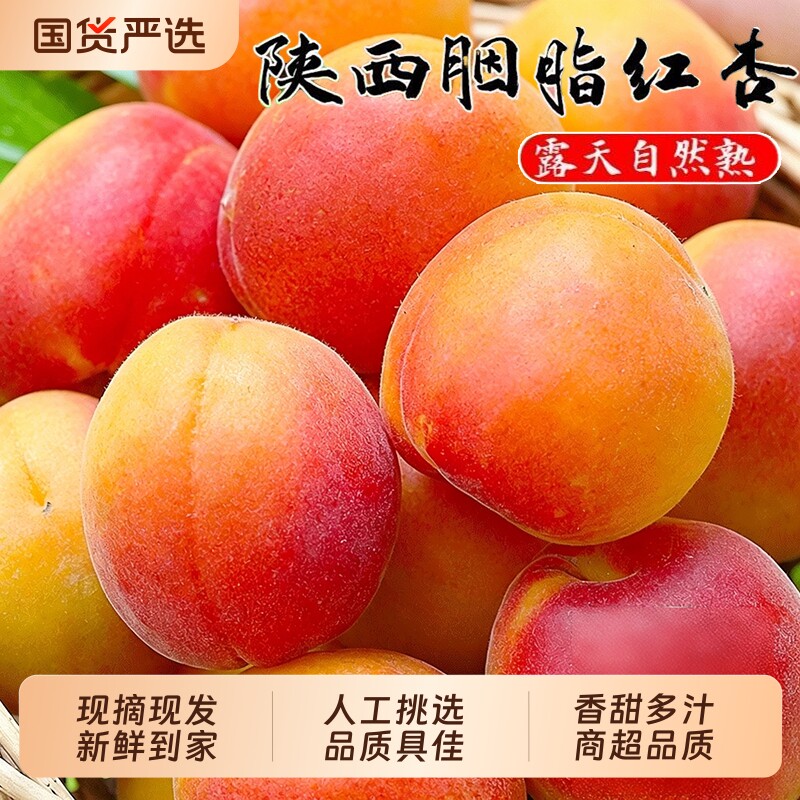 陕西胭脂红杏新鲜杏子当季水果整箱现摘自然熟甜杏贵妃太阳杏包邮