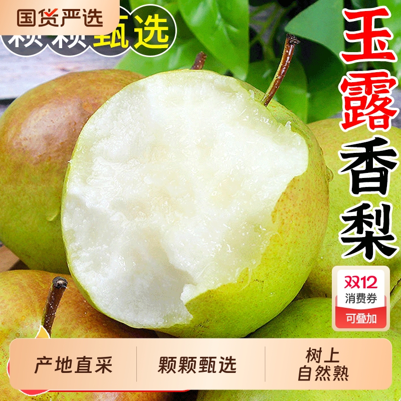 新鲜山西玉露香梨现摘