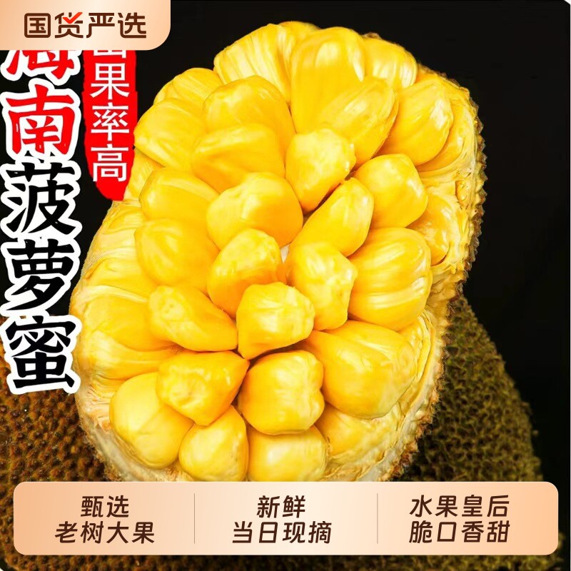 新鲜海南菠萝蜜当季热带水果香甜大果特产金黄橙黄果肉波罗蜜脆甜