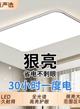 2026年新款全光谱吸顶灯