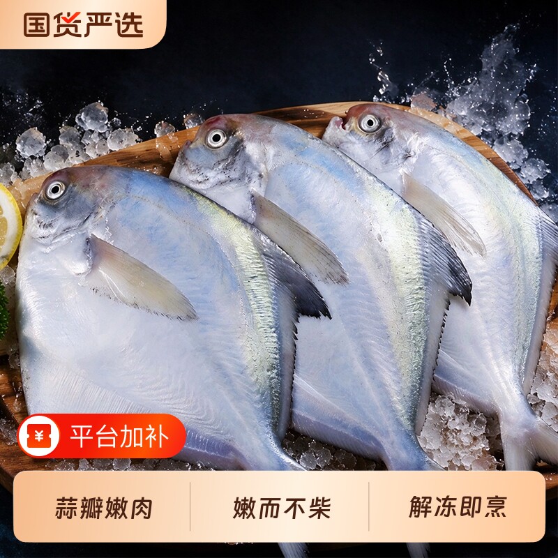 无冰小银鲳船冻锁鲜银鲳鱼一根主刺老少皆宜鲜甜不腥海鲜水产包邮