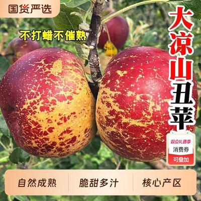 四川大凉山脆甜多汁丑苹果8斤