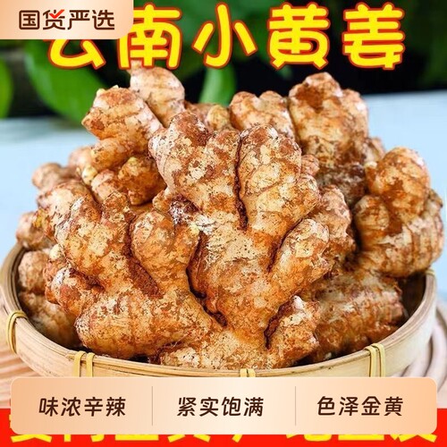 花三岁云南小黄姜生姜老姜鲜姜新鲜现挖自种姜嫩蔬菜整箱批发农家