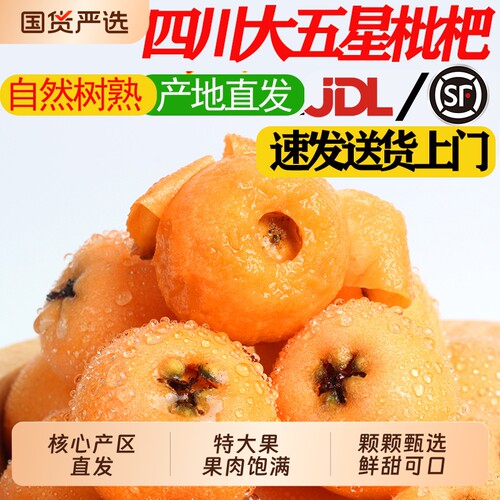 攀枝花米易枇杷汉源大五星枇杷应季新鲜水果果四川生鲜鲜果大果