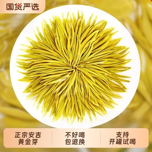 黄金芽茶叶新茶明前头采安吉嫩芽春茶特级白茶绿茶散装自己喝
