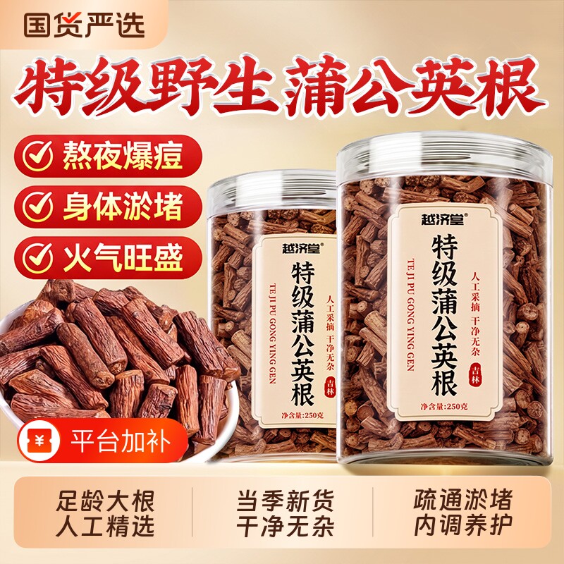 蒲公英根炒熟茶中药材长白山野生散菊花去火热清茶官方旗舰店正品