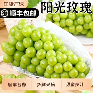 下拉金币19.9！阳光玫瑰*4斤