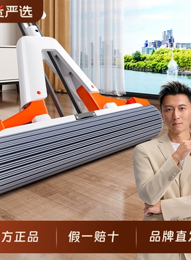 佳帮手海绵拖把新款家用一拖净干湿两用强吸水免手洗大胶棉头拖布