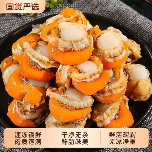 特大扇贝肉新鲜速冻去内脏扇贝肉鲜活现剥扇贝肉海鲜火锅食材