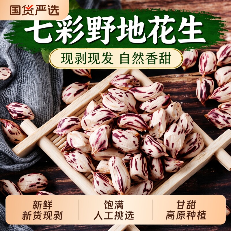 七彩花生2026新云南七彩野地花生晒干带壳生熟彩色米水果原味多彩