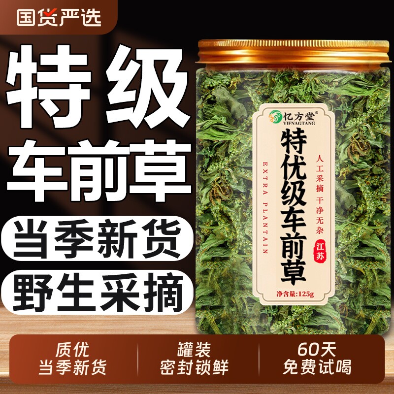 特级车前草野生中药材正品官方旗舰店新鲜干货泡茶泡水喝车前草茶