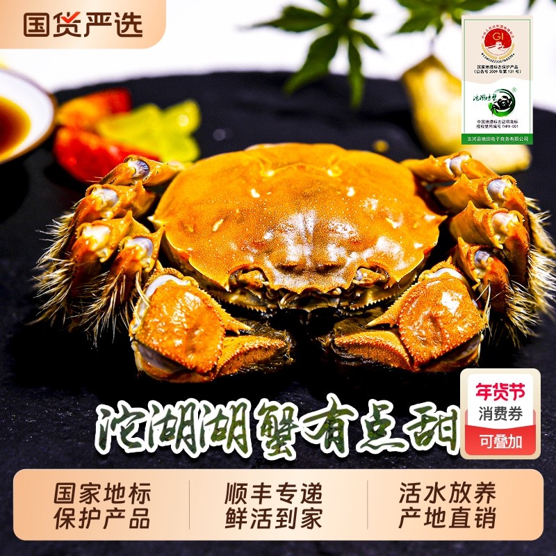 沱湖活蟹现货5.0两大蟹螃蟹鲜活大闸蟹礼盒顺丰包邮水产年货节
