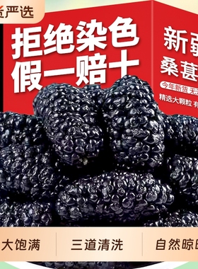 正宗新疆桑葚干桑椹特产优质果干无沙大果泡水泡酒枸杞茶新鲜干果