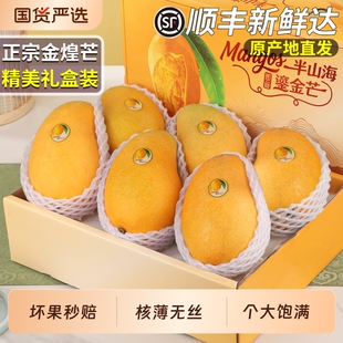 顺丰广西金煌芒芒果新鲜水果正宗甜当季整箱特大果礼盒装包邮特色