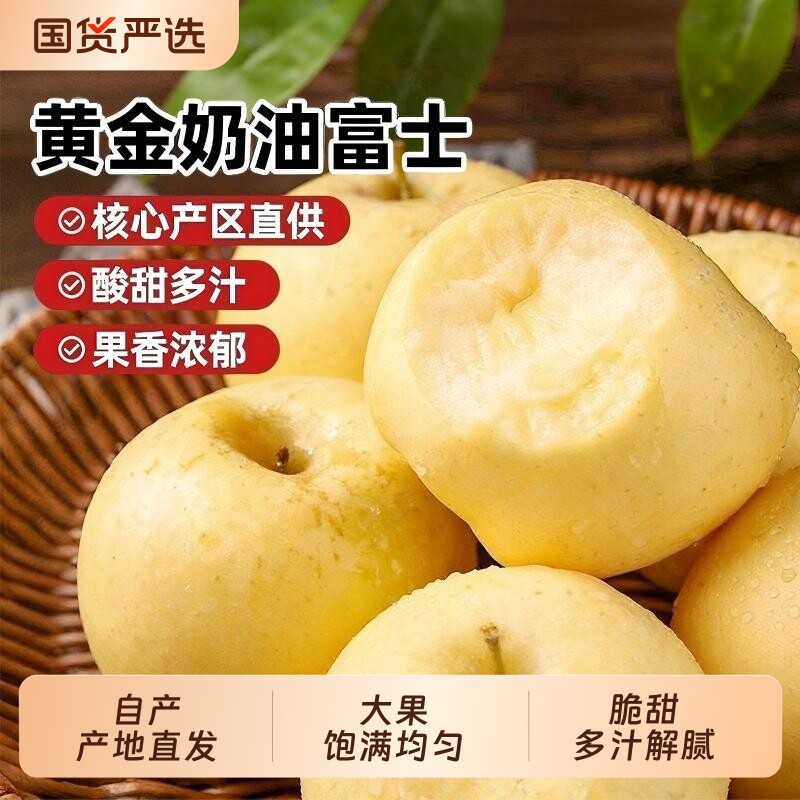 山东烟台黄金奶油富士苹果当季正宗奶油苹果9整箱包邮时令斤鲜果