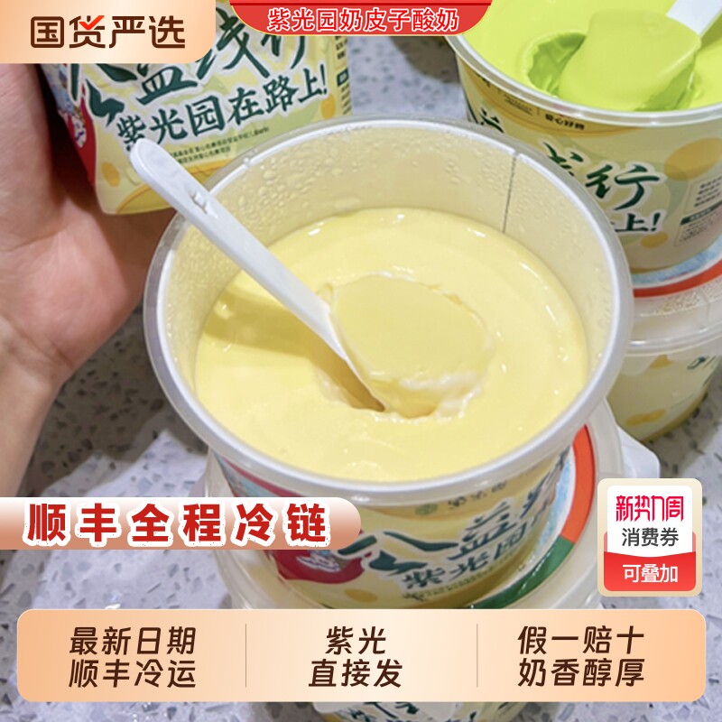 北京紫光园奶皮子酸奶老北京特产美食小吃网红酸奶顺丰冷运包邮