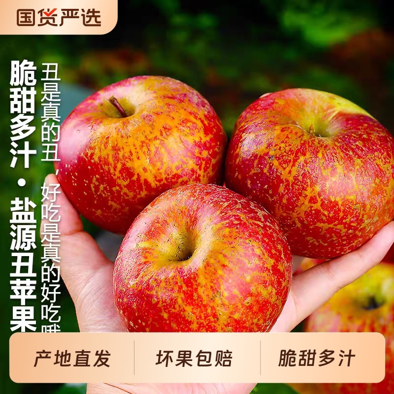 丑苹果冰糖心大凉山正宗四川盐源红富士当季新鲜水果脆甜多汁,水产肉类/新鲜蔬果/熟食,苹果,淘宝优惠券,粉丝福利购,淘宝优惠卷