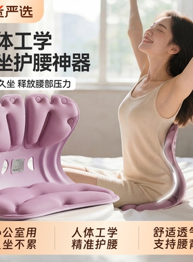 OES护腰坐垫腰部支撑坐姿椅人体工学护腰靠垫办公室护腰久坐神器