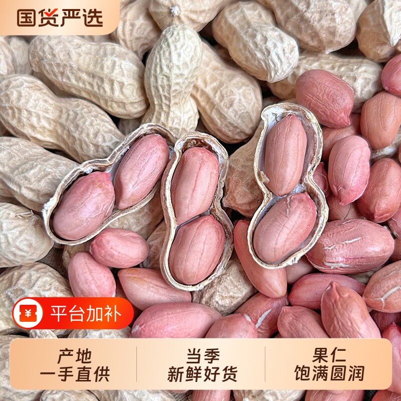 新鲜带壳的生花生干货批发晒干带壳花生农家散装白沙花生米大颗粒