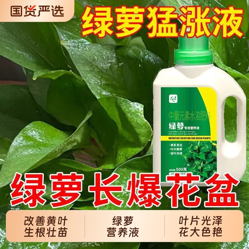 绿萝营养液专用防黄叶促绿叶生根家用水培绿萝盆栽花肥料液肥植物