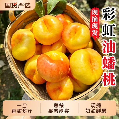 正宗彩虹油蟠桃新鲜水果现摘现发