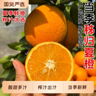 秭归夏橙正宗当季新鲜水果甜橙子脐橙整箱榨汁冰糖手剥橙9斤包邮