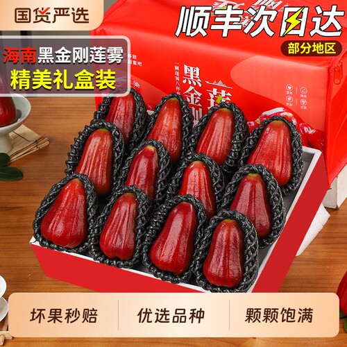 顺丰速达丨黑金刚莲雾精美礼盒装