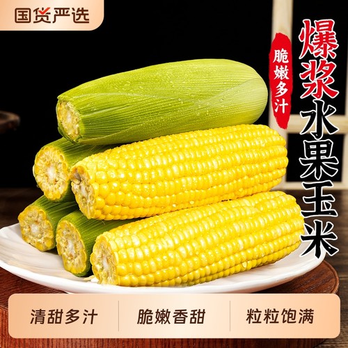 新鲜水果玉米甜糯爆浆玉米现摘苞谷嫩玉米棒子生吃蔬菜脆多汁
