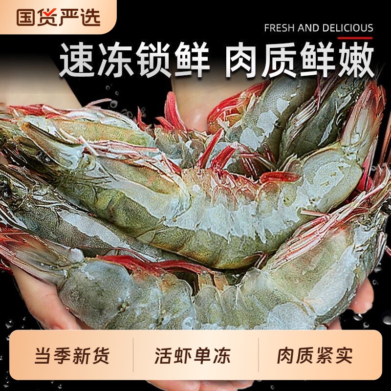 虾鲜活速冻青岛大虾2030海虾新鲜基围虾海捕冻虾白虾盐冻青虾批发