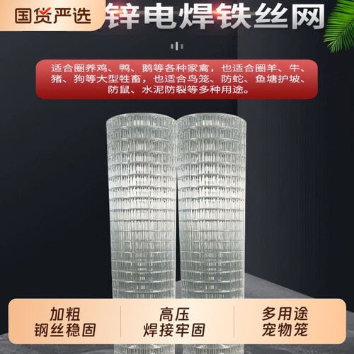 镀锌铁丝电焊网片小孔养殖围栏