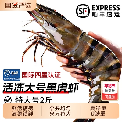 黑虎虾鲜活速冻超大老虎虾特大对虾基围虾鲜虾海虾冷冻竹斑九节虾