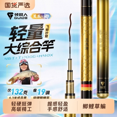领路人星辰鲫鱼竿极轻小综合竿超轻硬碳素鲫鱼竿手杆品牌台钓鱼竿