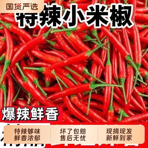 新鲜小米椒香辣新货产地直发