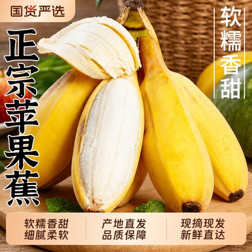 【正宗9斤苹果蕉钜惠】软糯香甜