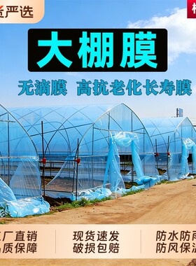 大棚膜塑料薄膜透明加厚蔬菜大棚专用塑料布农用蓝色无滴膜防水