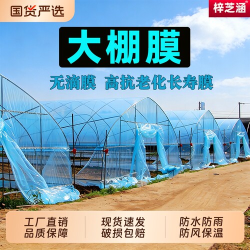大棚膜塑料薄膜透明加厚蔬菜大棚专用塑料布农用蓝色无滴膜防水