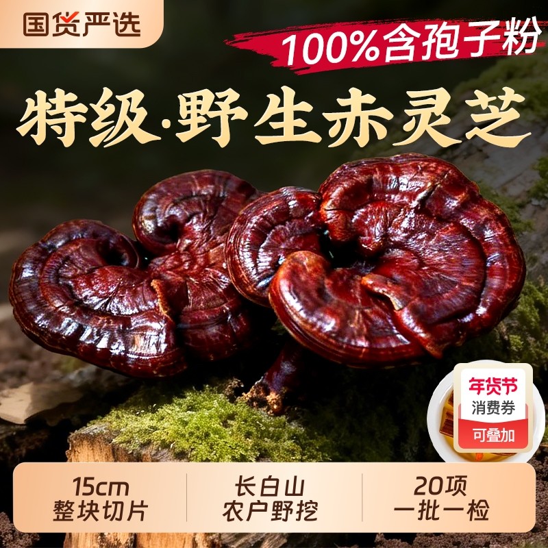 同仁堂野生赤灵芝片整朵中药材泡酒煮水正品孢子粉喝增强免疫力